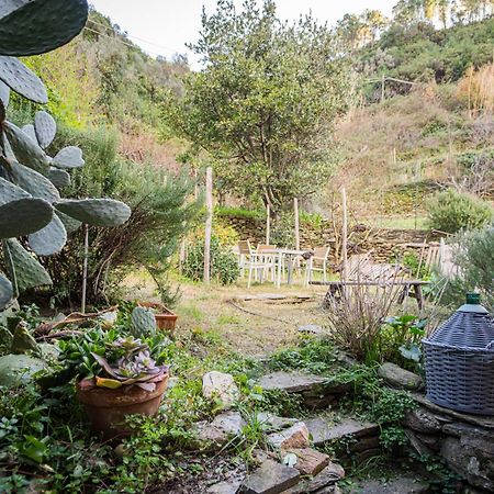 Il Limoneto Dei Cinque Sensi,Apartment With Garden Vernazza Bagian luar foto