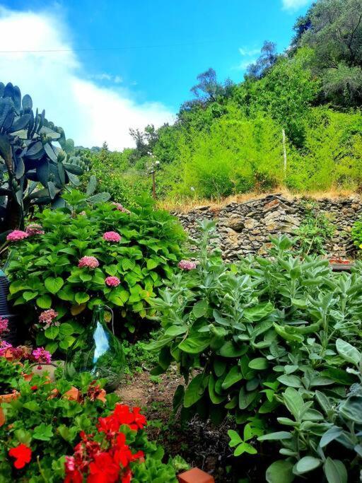 Il Limoneto Dei Cinque Sensi,Apartment With Garden Vernazza Bagian luar foto