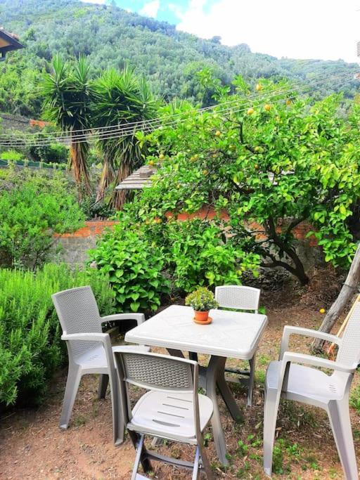 Il Limoneto Dei Cinque Sensi,Apartment With Garden Vernazza Bagian luar foto